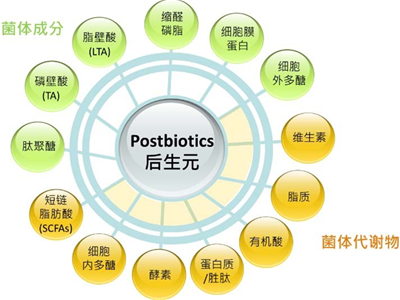 新時(shí)代的寵兒——“后生元”