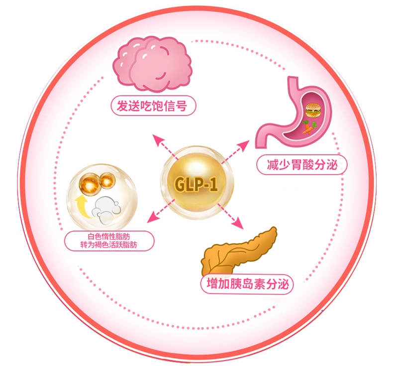 科学控体 贝斯凯纤纤复合饮品 向标准“腰高比”更进一步