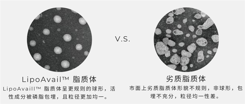 攝入量≠吸收量，如何讓營養(yǎng)素生物利用度實現10倍、100倍提升