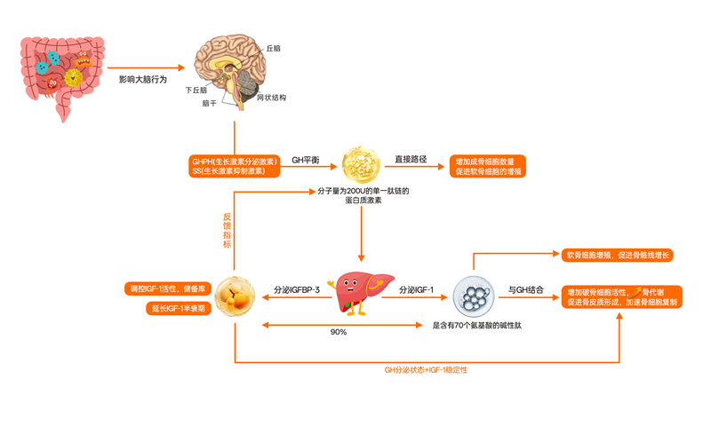 https://m.baobei360.com/upfile/news/202509/202509161044115557_800x480.png