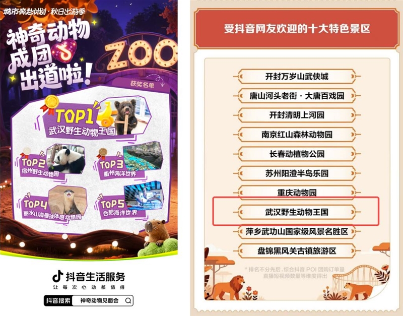 抖音生活服务创新营销 “神奇动物见面会”引爆线下消费