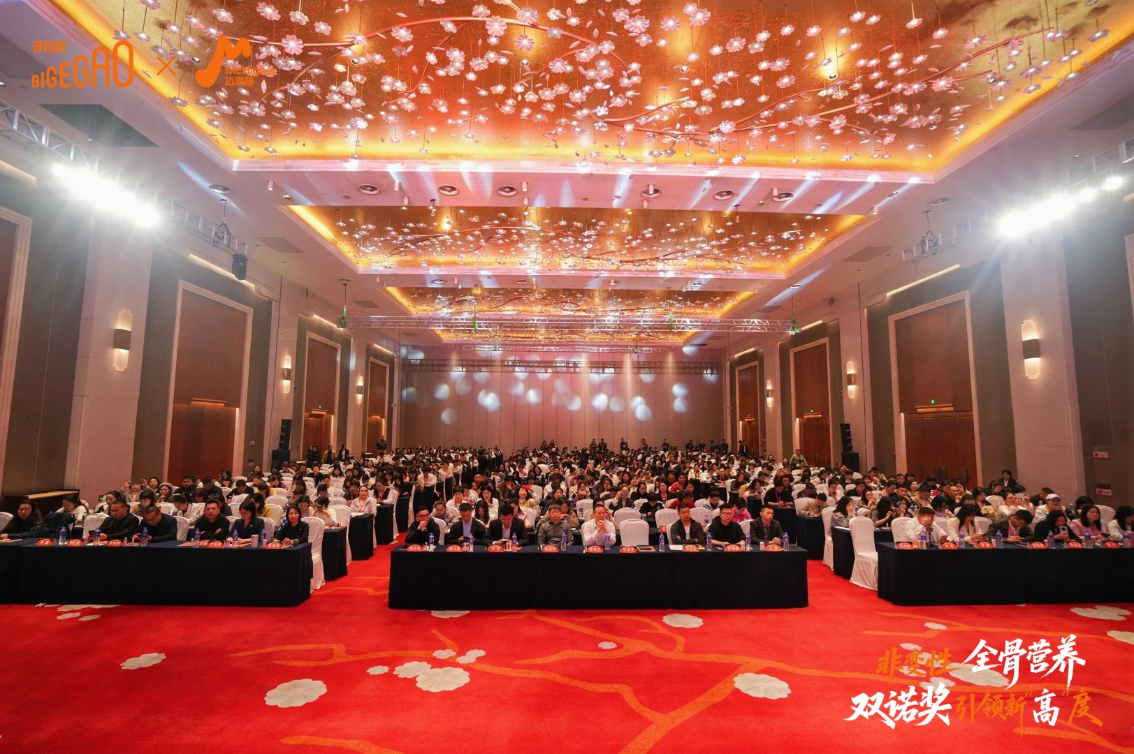 非變性營養新變革——彼格高邁高格身高管理學術研究班第7期再邁“骨營養新高度”