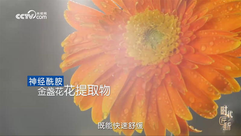 揭秘宝宝护肤安心之选：如何用精简配方，兼顾功效与肤感？