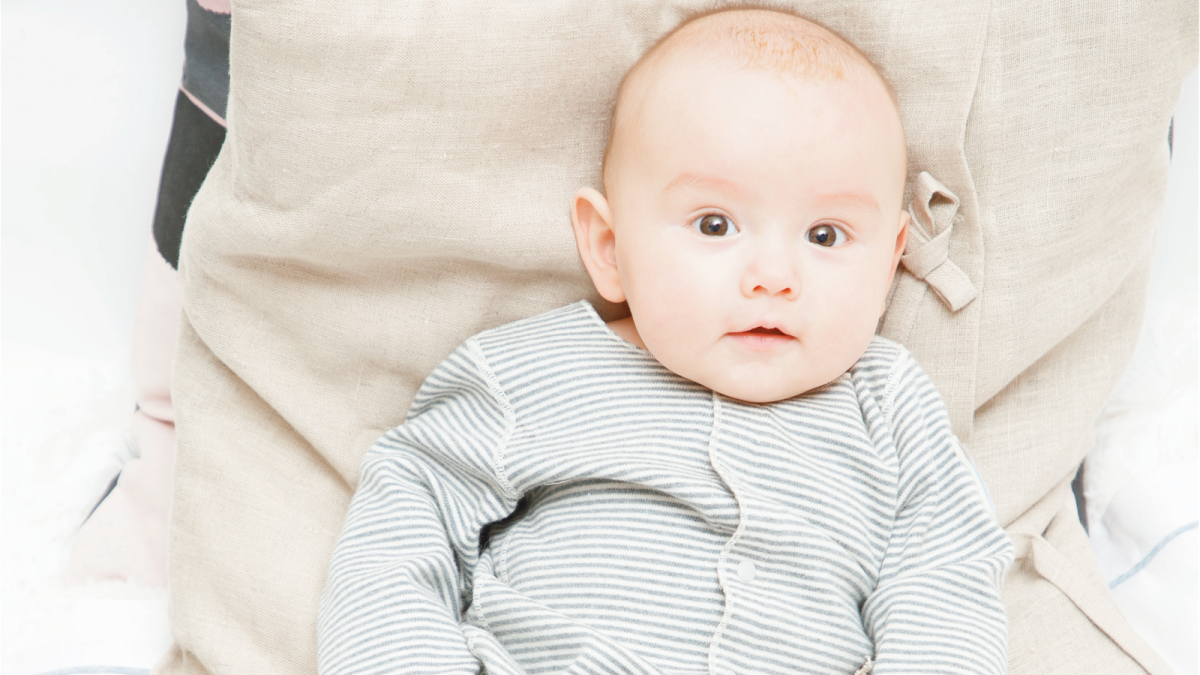 木直木帛2020春夏經(jīng)典超薄系列