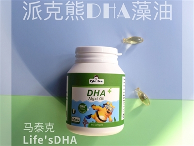 進口DHA全國招商，派克熊精選馬泰克Life’sDHA，品質(zhì)有保障